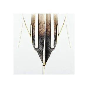 Ayevision 100 bolsas de papel de filtro de café portátil_7