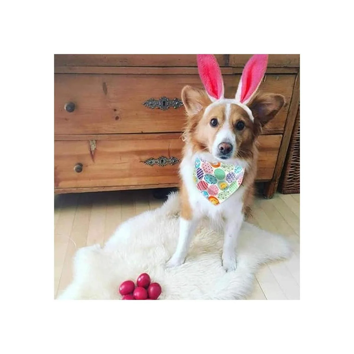 Dog Easter Costume and Egg Dog Bandana_5