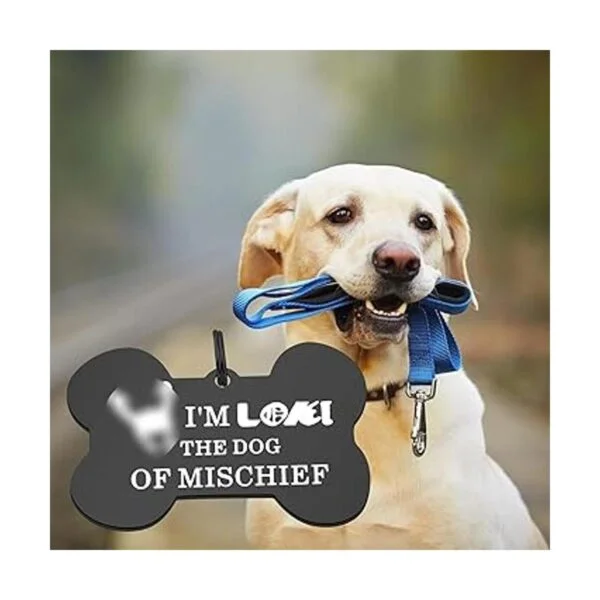 ENSIANTH Divertidas etiquetas de collar para perro regalo_3