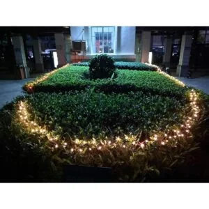 MXTCLM Luces de Navidad marrones 100 bombillas_2