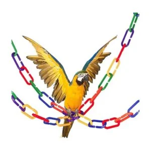 JIALEEY 600 piezas de plástico CClips ganchos cadena_5