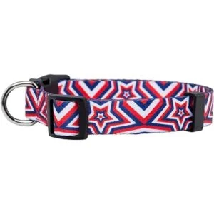 Native Pup Collar de perro de Acción de Gracias bonito_2