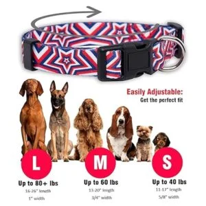 Native Pup Collar de perro de Acción de Gracias bonito_3