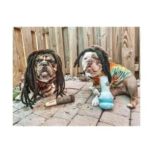 Puppy Chiefer Juguetes divertidos para perros Juguete_3