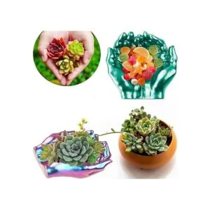 Molde de resina para platos de manos bandeja modelo de_6