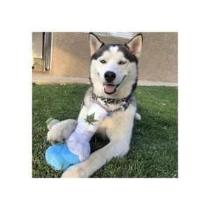 Puppy Chiefer Juguetes divertidos para perros Juguete_2