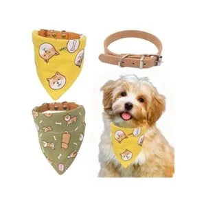 Timoey Collares de perro para perros pequeños ajustable_1