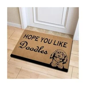 Felpudo de bienvenida divertido regalo de casa alfombra_2