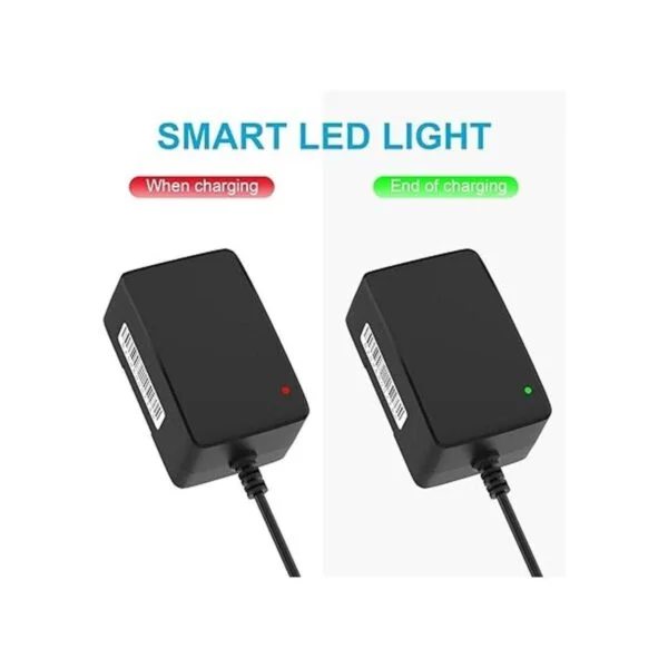 Cargador de batería de 12 V para juguetes de paseo Fuente_4