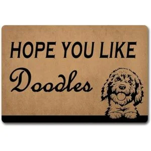 Felpudo de bienvenida divertido regalo de casa alfombra_1