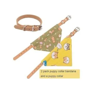 Timoey Collares de perro para perros pequeños ajustable_4