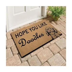 Felpudo de bienvenida divertido regalo de casa alfombra_3