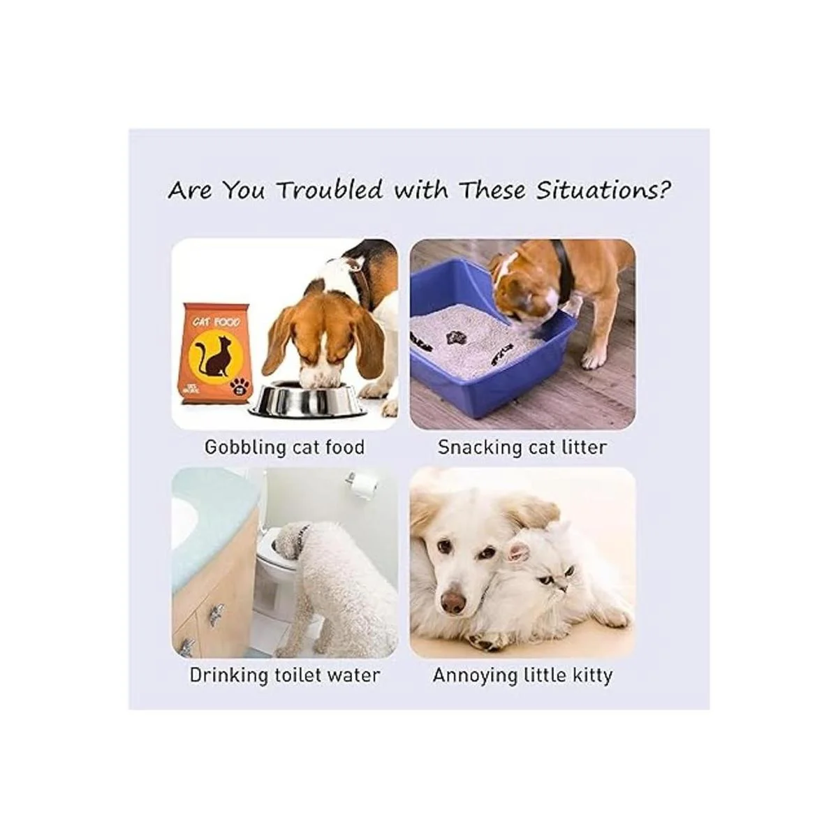 Neobay Pestillo ajustable para mascotas para puerta con_2