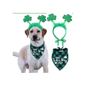 Disfraz de perro del día de San Patricio diadema de_1