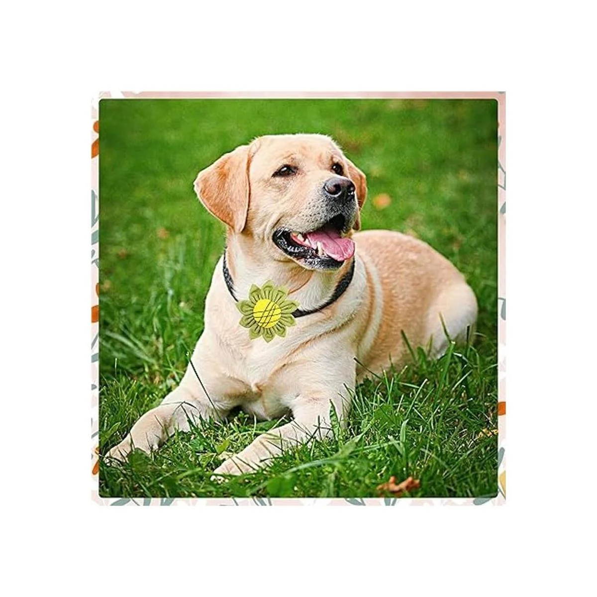 JpGdn 8 piezas de collar de perro flores lazos grandes_6