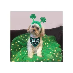 Disfraz de perro del día de San Patricio diadema de_2