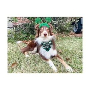 Disfraz de perro del día de San Patricio diadema de_3