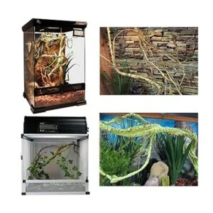 kathson Plantas de vides de reptiles flexibles y flexibles_4