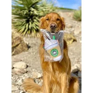 Star Pups Juguete de café para perro con leche de_7