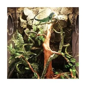 kathson Plantas de vides de reptiles flexibles y flexibles_3