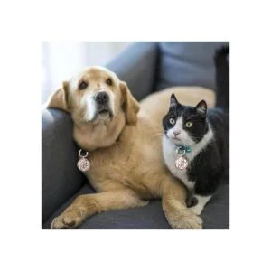 VIIVY VIYIV Funda protectora para AirTag Key Wallet Finder_2