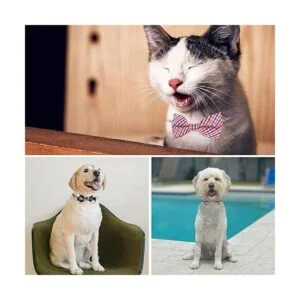 KOOLMOX Corbatas para perro 10 lazos para el cuello del_3