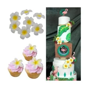 Molde de silicona Plumeria Rubra Molde de 6 cavidades_6