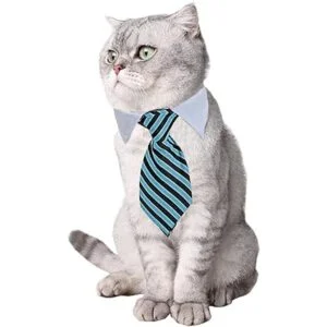 4 piezas de disfraz para mascotas y perros gatos_2