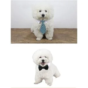 4 piezas de disfraz para mascotas y perros gatos_6