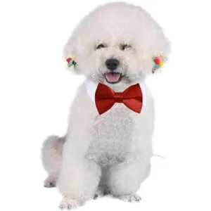 4 piezas de disfraz para mascotas y perros gatos_5