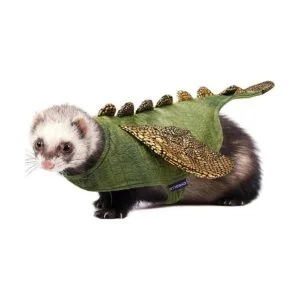 cyeollo Disfraz de conejo de animales pequeños disfraz de_7