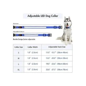 YFbrite Collar de perro LED recargable por USB_5