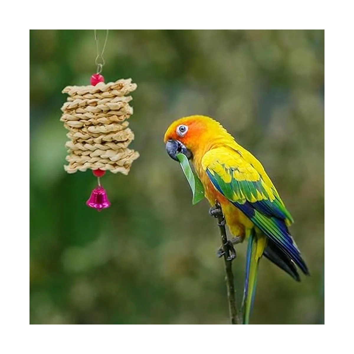 Suruikei Juego de 2 plataformas de perca para pájaros_6