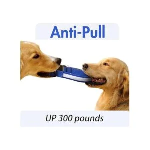 YFbrite Collar de perro LED recargable por USB_4