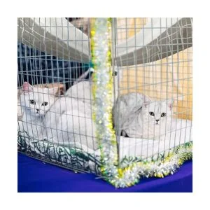 Hamaca colgante reversible para gatos suave_2