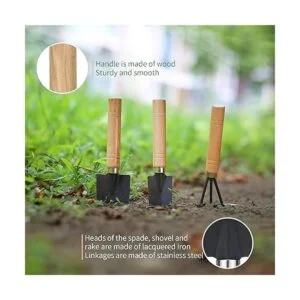 11 piezas de herramientas para suculentas mini_4