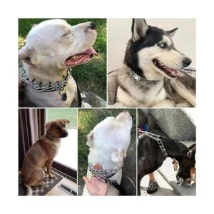 Collar de punta para perro collar de pinza para perro con_7