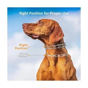 Collar de punta para perro collar de pinza para perro con_5