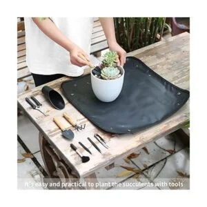 11 piezas de herramientas para suculentas mini_5