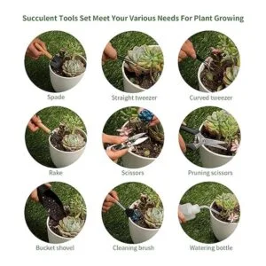 11 piezas de herramientas para suculentas mini_3