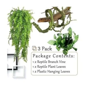 Hamiledyi Plantas de reptiles flexibles de selva_2