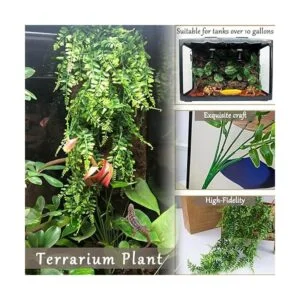 Hamiledyi Plantas de reptiles flexibles de selva_5