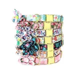 Beirui Lindos collares de perro para niñas pequeñas_6