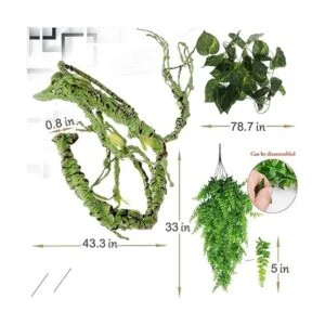 Hamiledyi Plantas de reptiles flexibles de selva_6