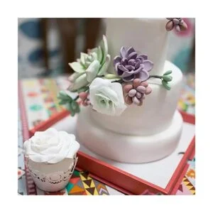 Woohome Molde suculento de silicona 9 unidades diseño_6