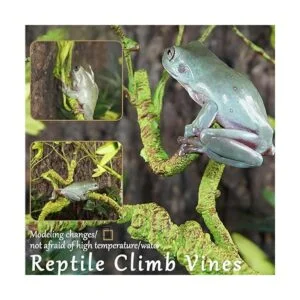 Hamiledyi Plantas de reptiles flexibles de selva_3