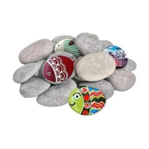 DALTACK 15 rocas grandes para pintar rocas de río para_1