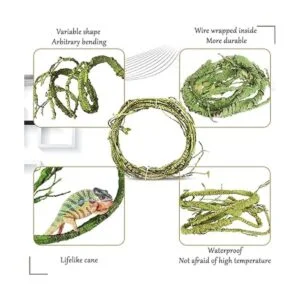 Hamiledyi Plantas de reptiles flexibles de selva_4