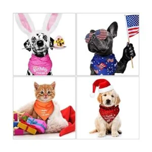 12 bandanas navideñas para perro Halloween bufanda día_7