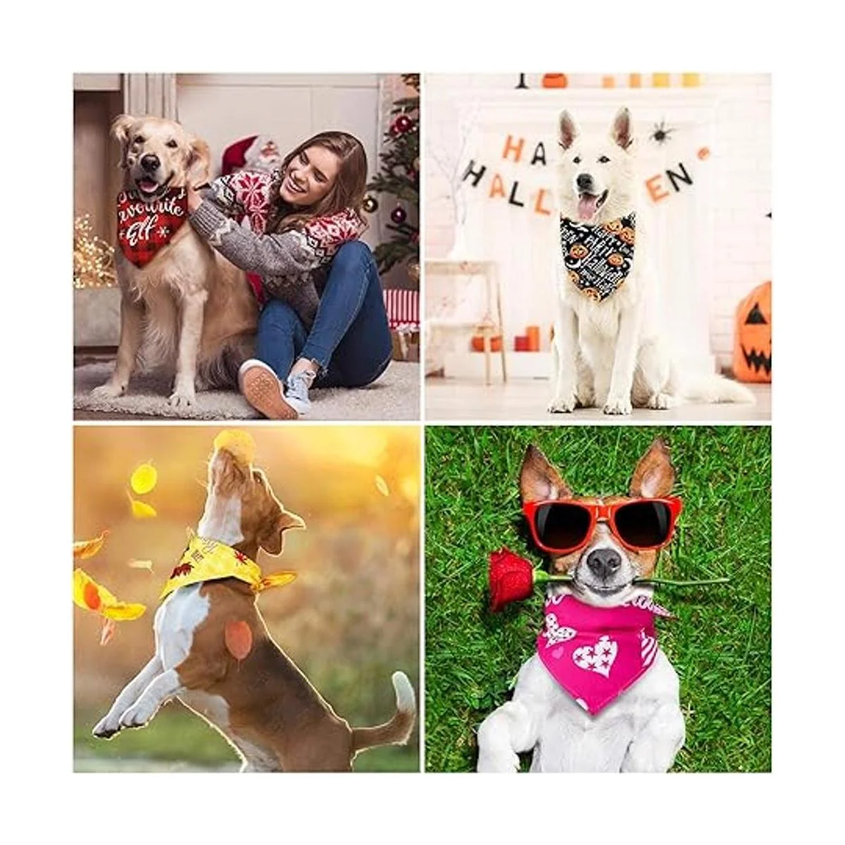 12 bandanas navideñas para perro Halloween bufanda día_6